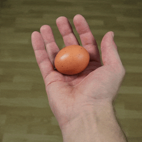 oeuf - Boite <i>À</i> oeufs